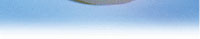 document management system